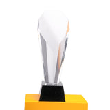 Crystal Trophy Award