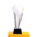 Crystal Trophy Award