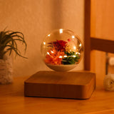 Magnetic Levitating Flower, Forever Flowers Real Eternal Roses, Levitation LED Light Bulb Lamp Floating Light