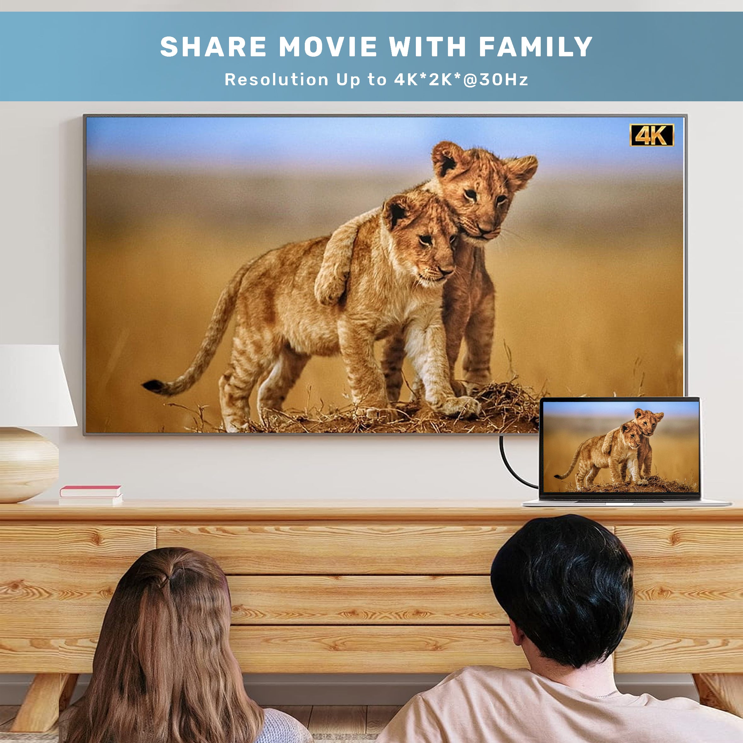 محول أريزونا DP إلى HDTV