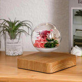 Magnetic Levitating Flower, Forever Flowers Real Eternal Roses, Levitation LED Light Bulb Lamp Floating Light
